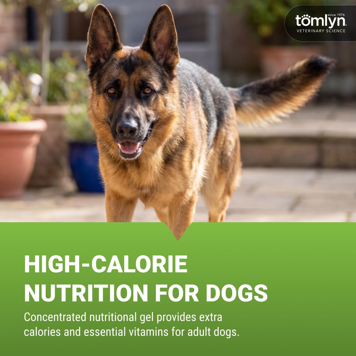 Malt-Flavored High-Calorie Nutritional Gel for Dogs, 4.25oz O76454