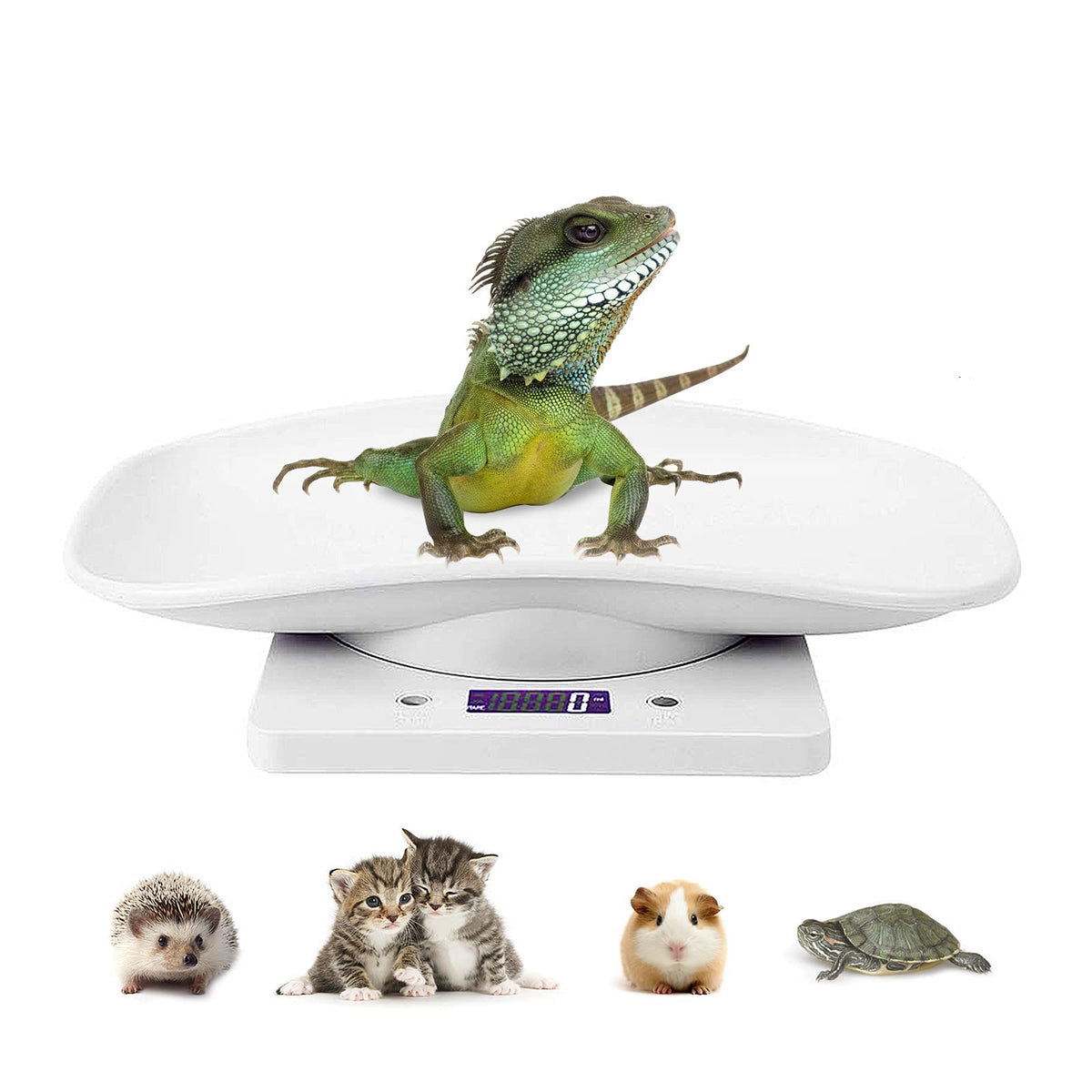 Digital Pet Scale LCD Electronic Weighing Scale C99921