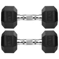 Rubber Coated Cast Iron Hex Dumbbells A195