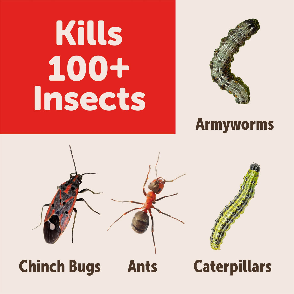 Garden Insect Killer Granules W783