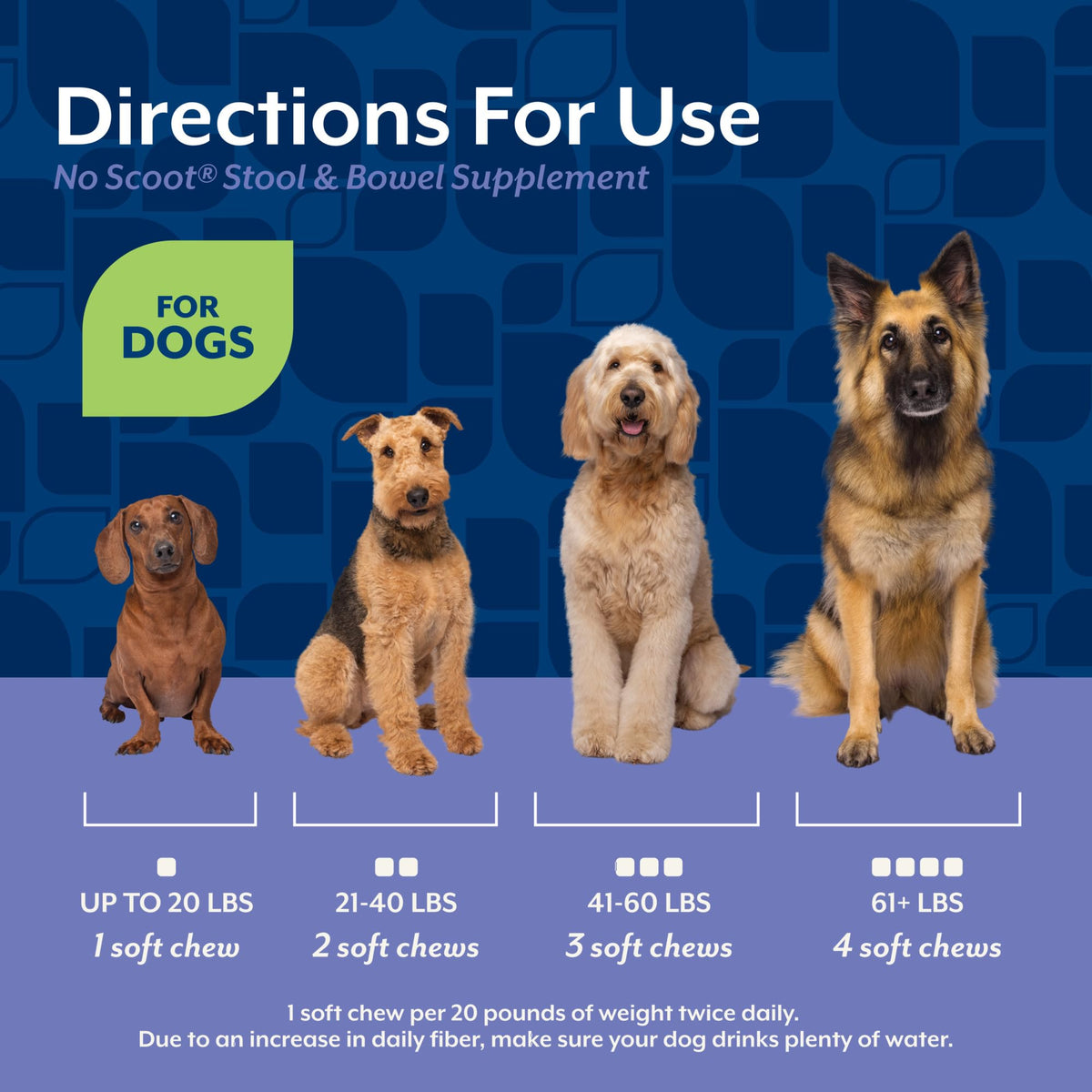 Dog Stool and Bowel Supplement 60 Soft Chews P376505