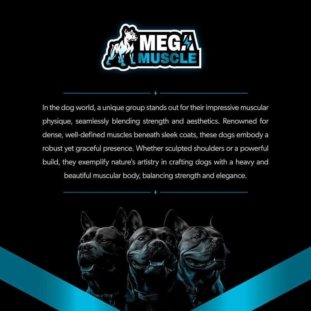 Dog Muscle Support Powder Blue Mussel Bone Broth Food Topper 3.2 oz C26502
