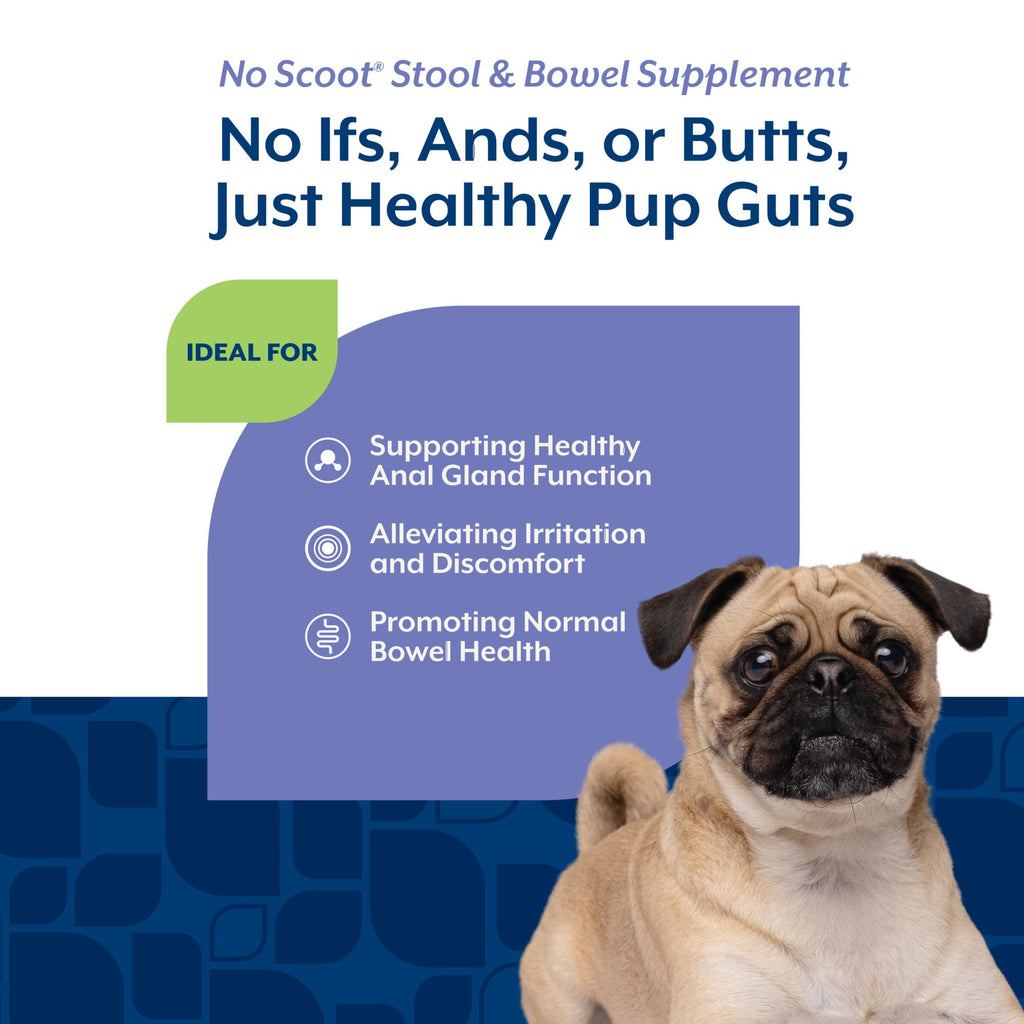 Dog Stool and Bowel Supplement 60 Soft Chews P376505