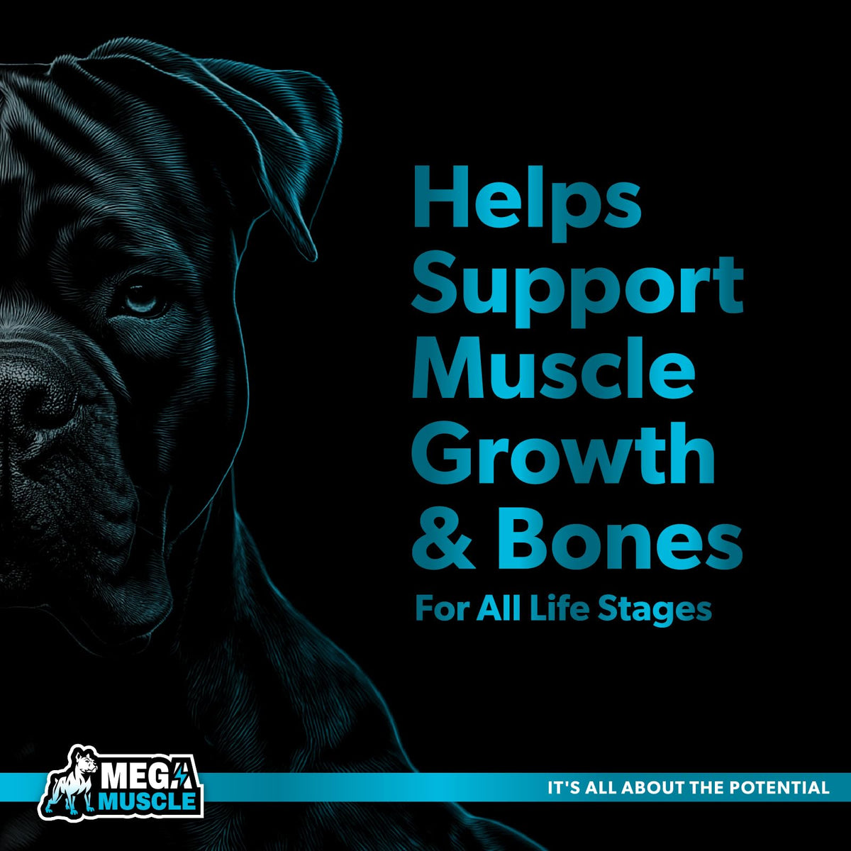 Dog Muscle Support Powder Blue Mussel Bone Broth Food Topper 3.2 oz C26502
