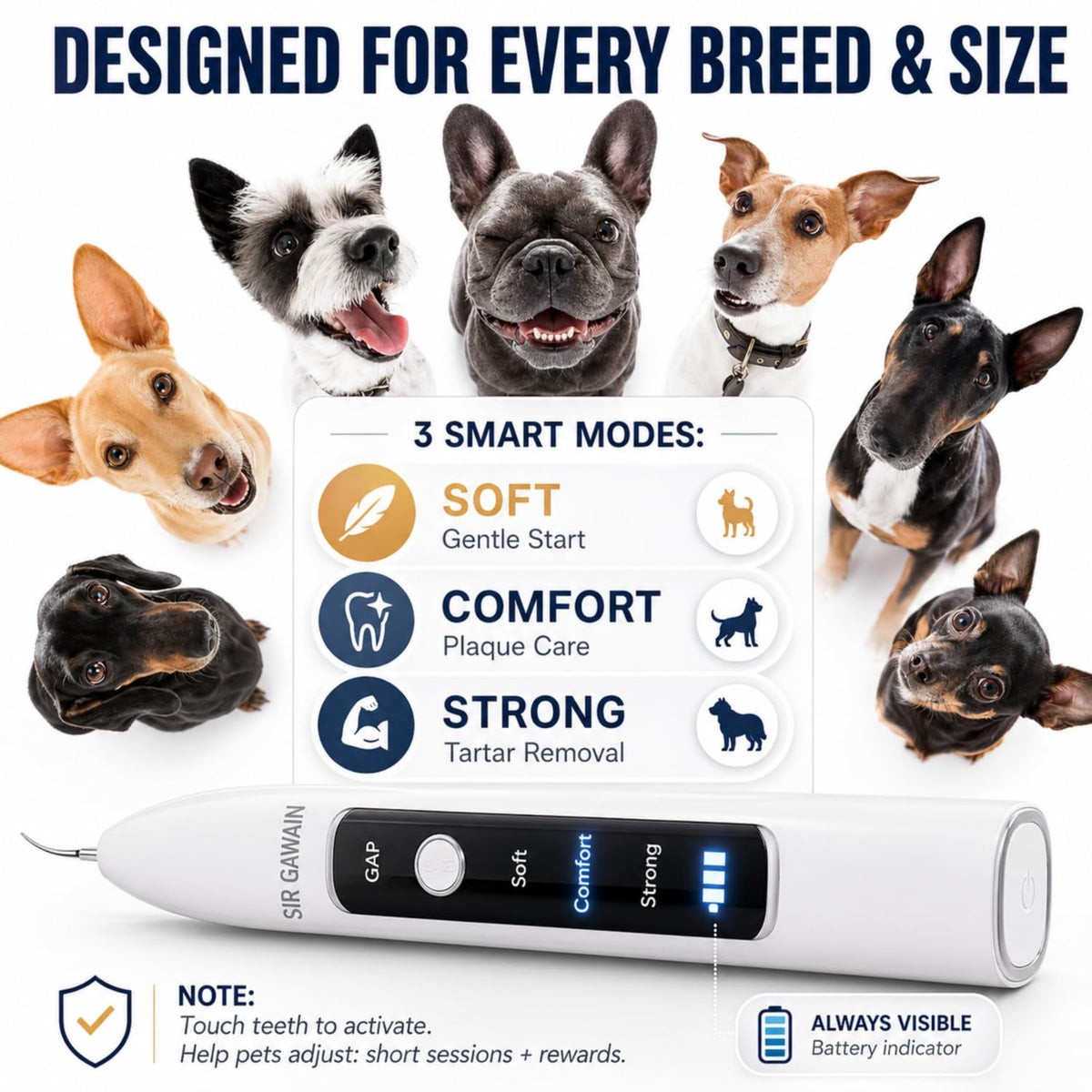Ultrasonic Pet Dental Cleaner with 4 Tips and 3 Modes J71819