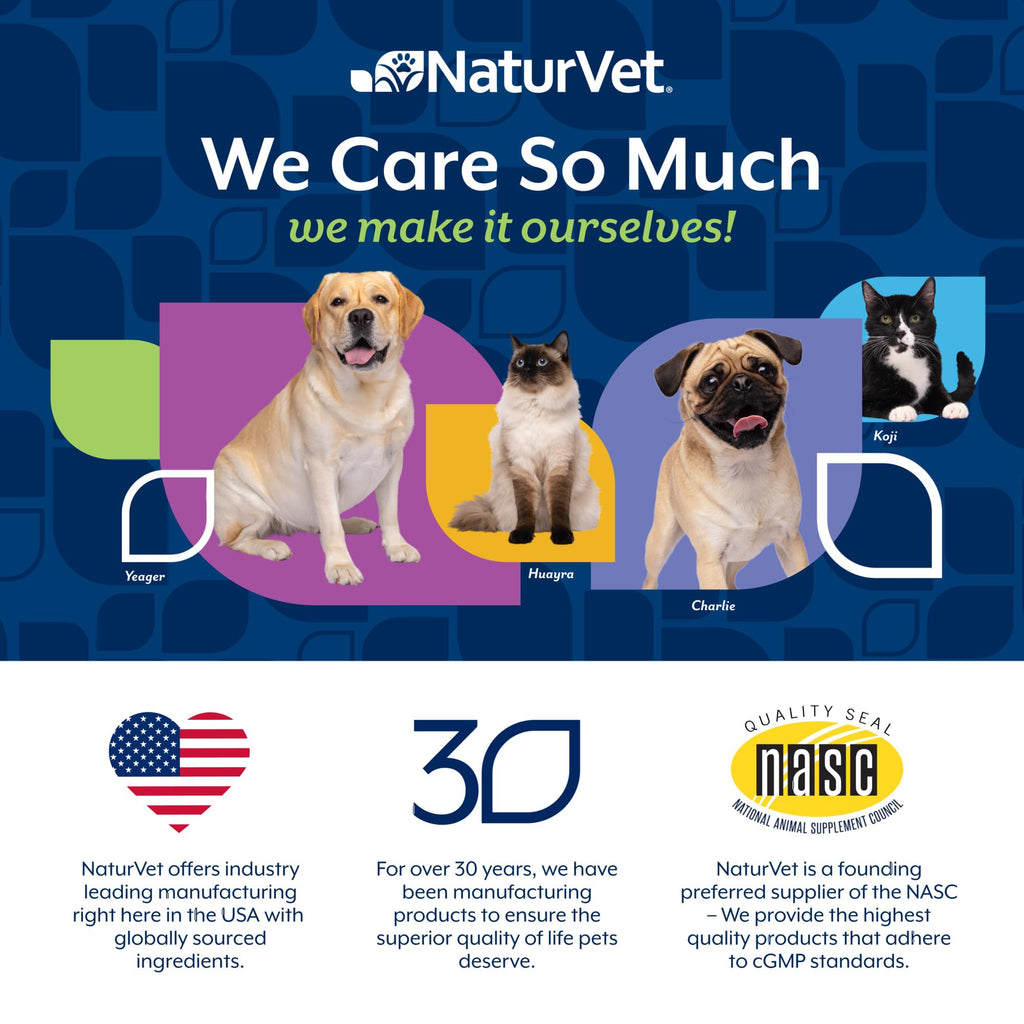Dog Stool and Bowel Supplement 60 Soft Chews P376505