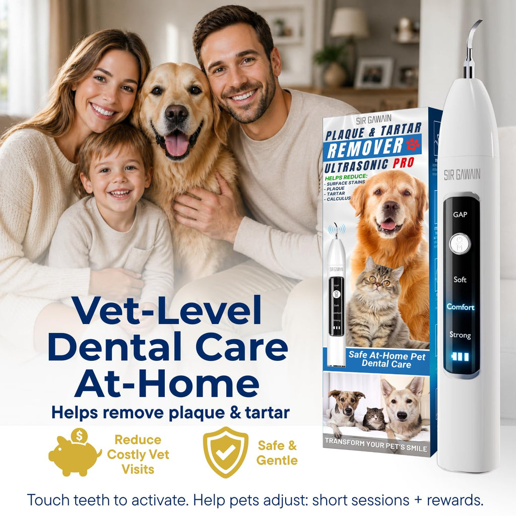 Ultrasonic Pet Dental Cleaner with 4 Tips and 3 Modes J71819