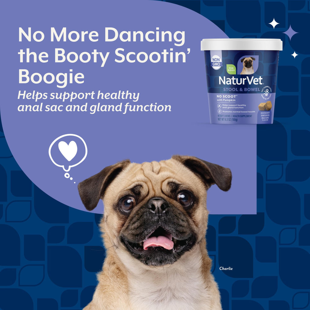 Dog Stool and Bowel Supplement 60 Soft Chews P376505