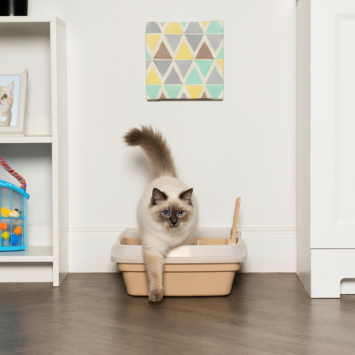 Large Cat Litter Box F72690