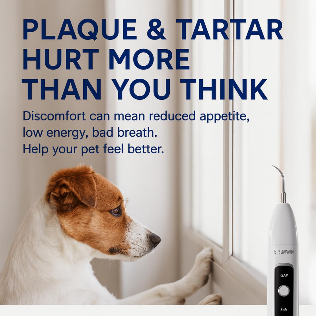Ultrasonic Pet Dental Cleaner with 4 Tips and 3 Modes J71819