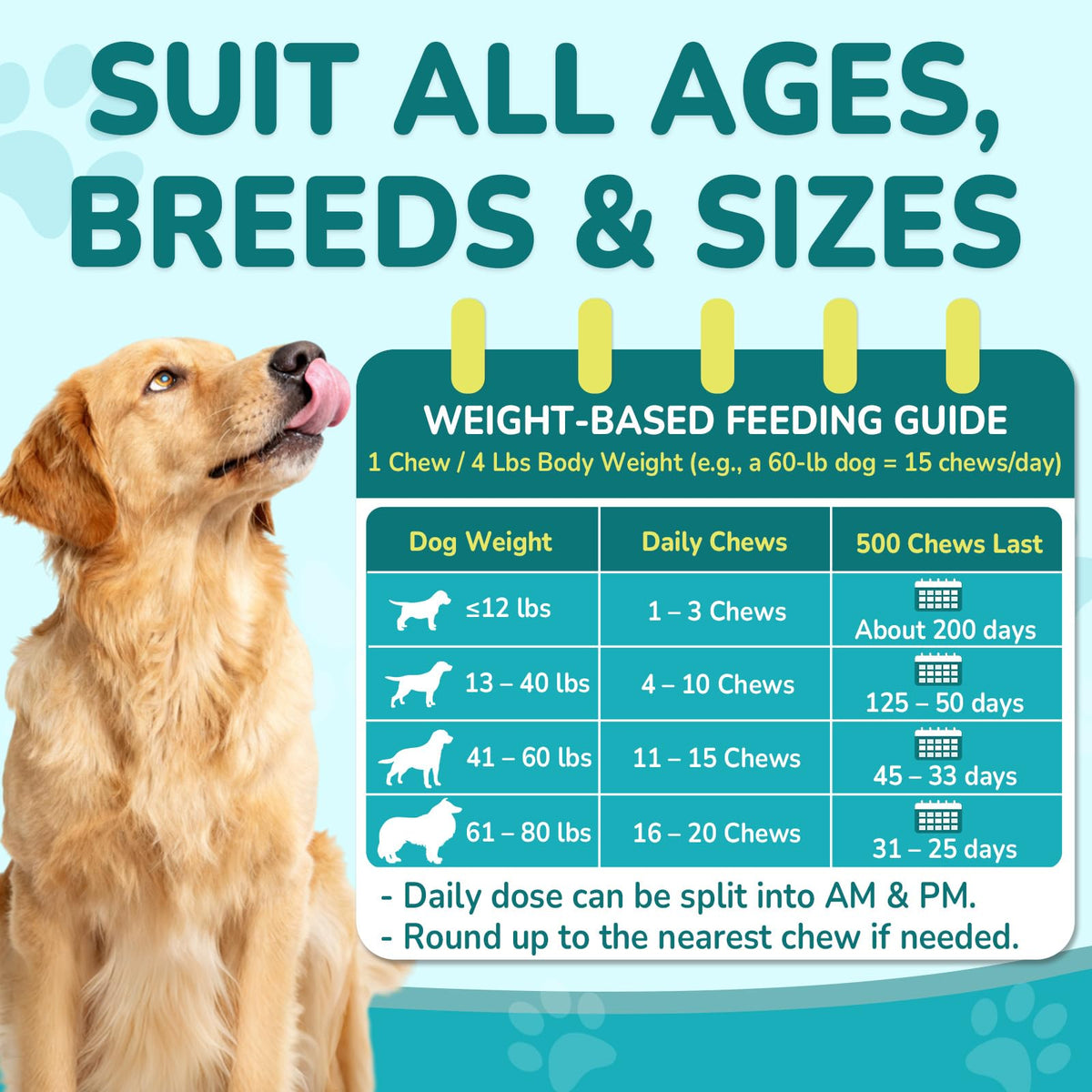 Flea and Tick Prevention for Dogs G892796