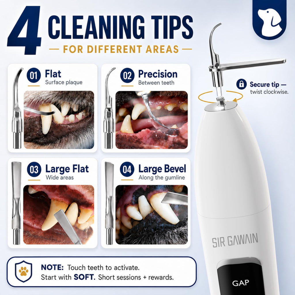 Ultrasonic Pet Dental Cleaner with 4 Tips and 3 Modes J71819