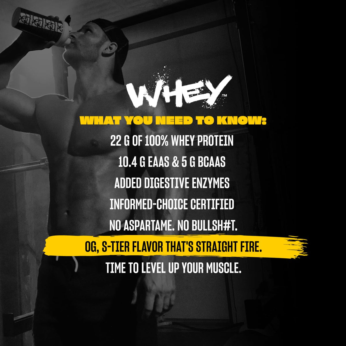Whey Protein Powder Triple Chocolate 5 lb Y59831