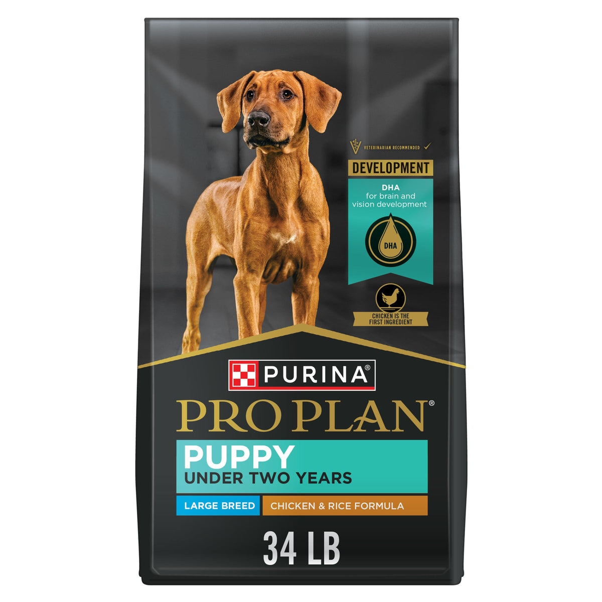 Chicken & Rice Dry Puppy Food 34 lb Bag G6956