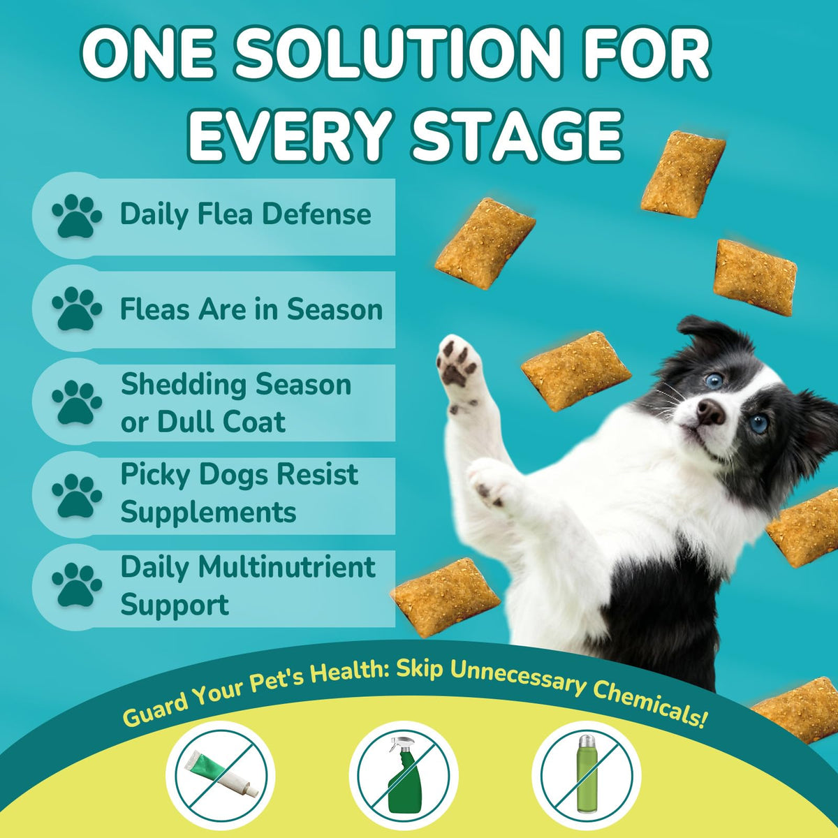 Flea and Tick Prevention for Dogs G892796