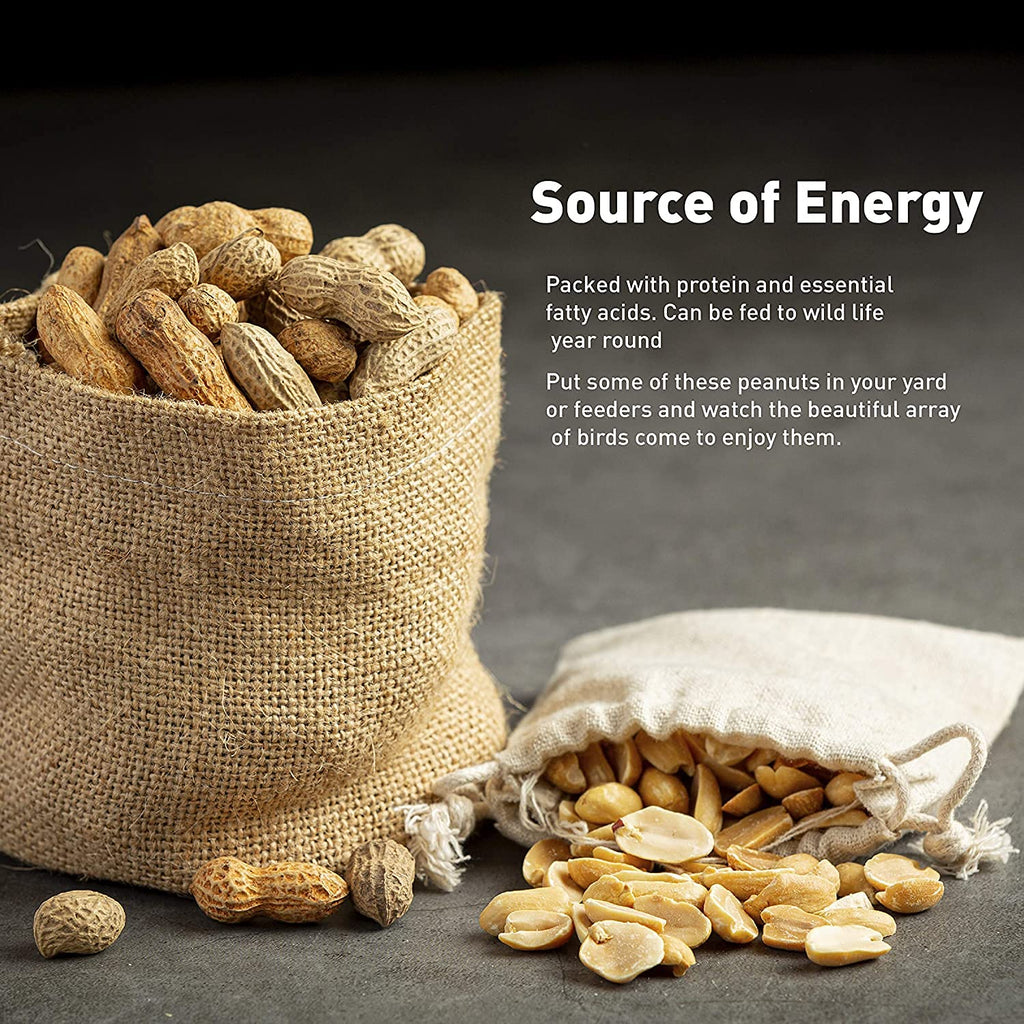25 Pound Bag Raw Unsalted In-Shell Peanuts A108975