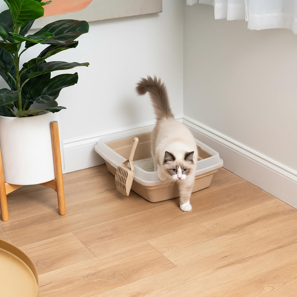 Large Cat Litter Box F72690