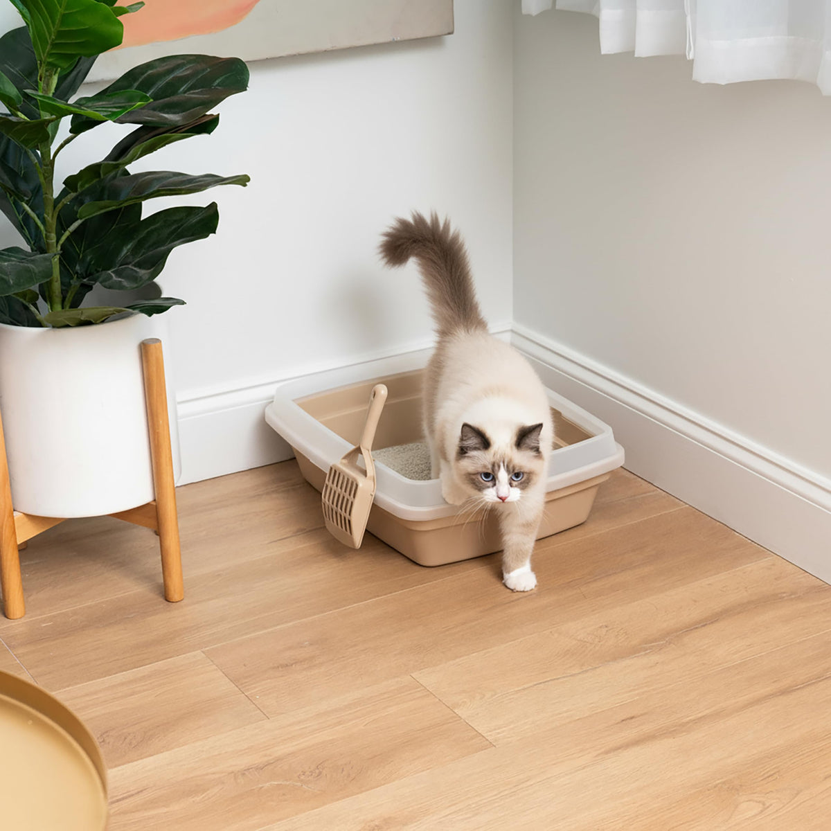 Large Cat Litter Box F72690
