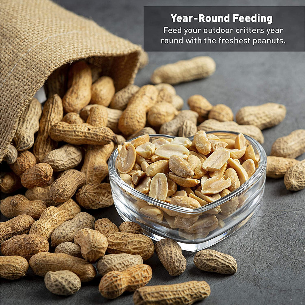 25 Pound Bag Raw Unsalted In-Shell Peanuts A108975