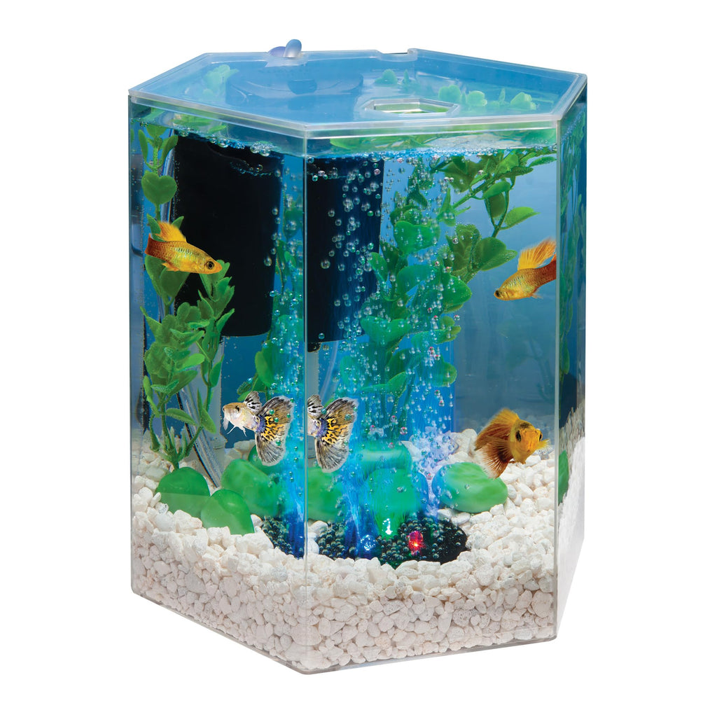 1 Gallon Small Fish Tank Kit D809