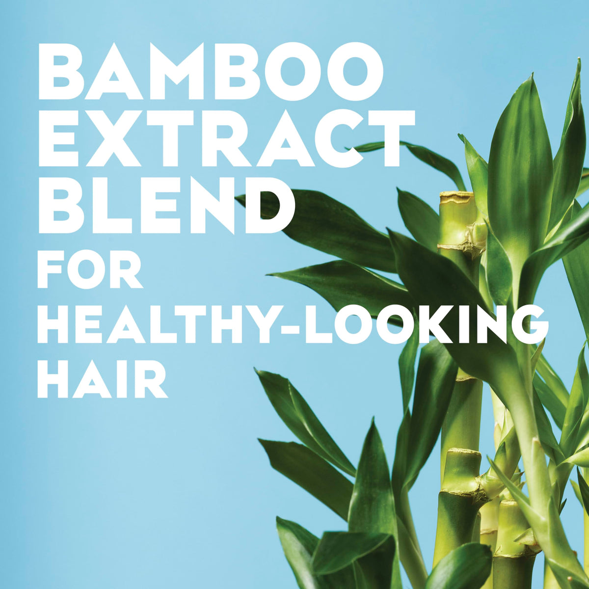 Coconut Oil Hydrating Hair Mist C142519