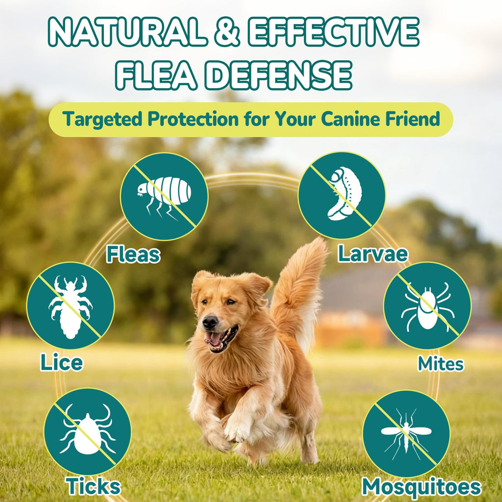 Flea and Tick Prevention for Dogs G892796