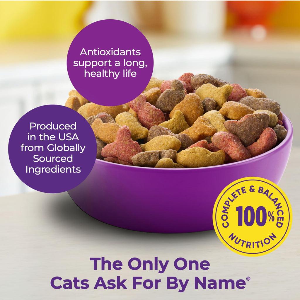 Dry Cat Food 6.3 Pound and Wet Cat Food Variety Pack 2.75 Ounce (Pack of 24) Y749