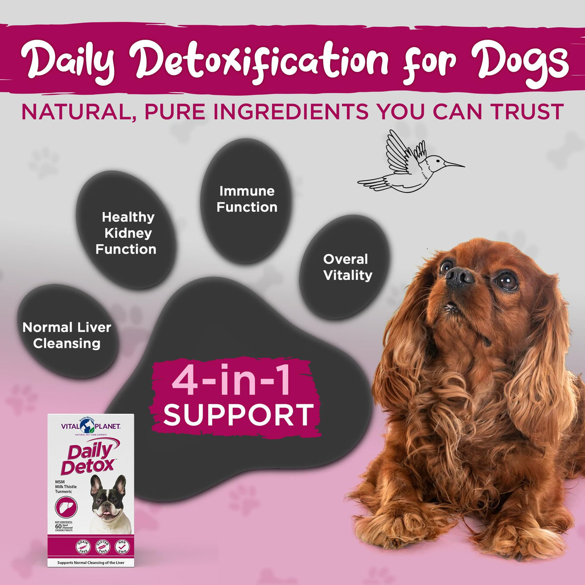 60 Beef Flavored Chewable Tablets with MSM, Milk Thistle, Spirulina, and Turmeric J21471