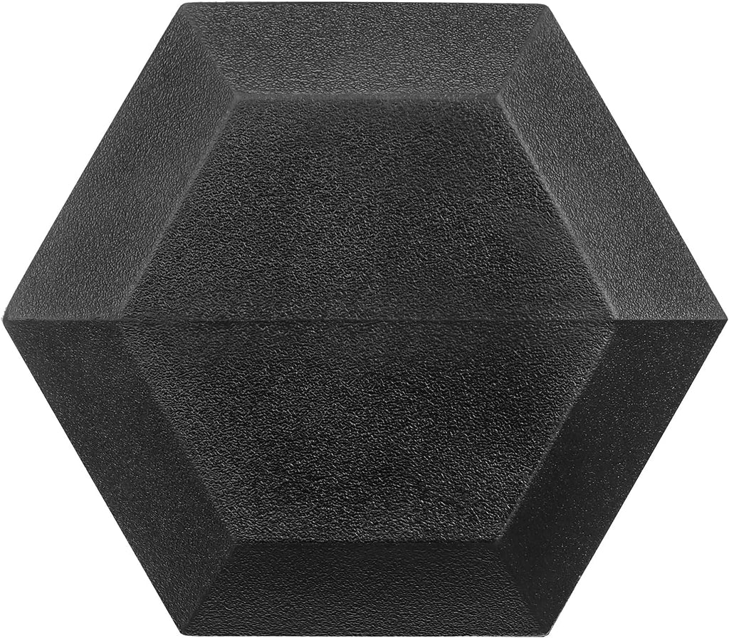 Rubber Coated Cast Iron Hex Dumbbells A195