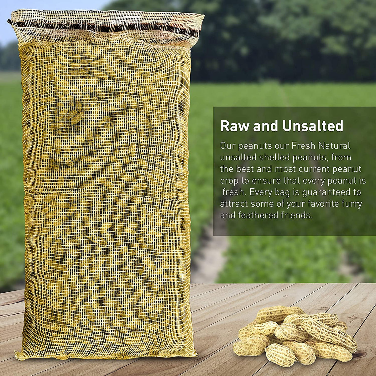 25 Pound Bag Raw Unsalted In-Shell Peanuts A108975