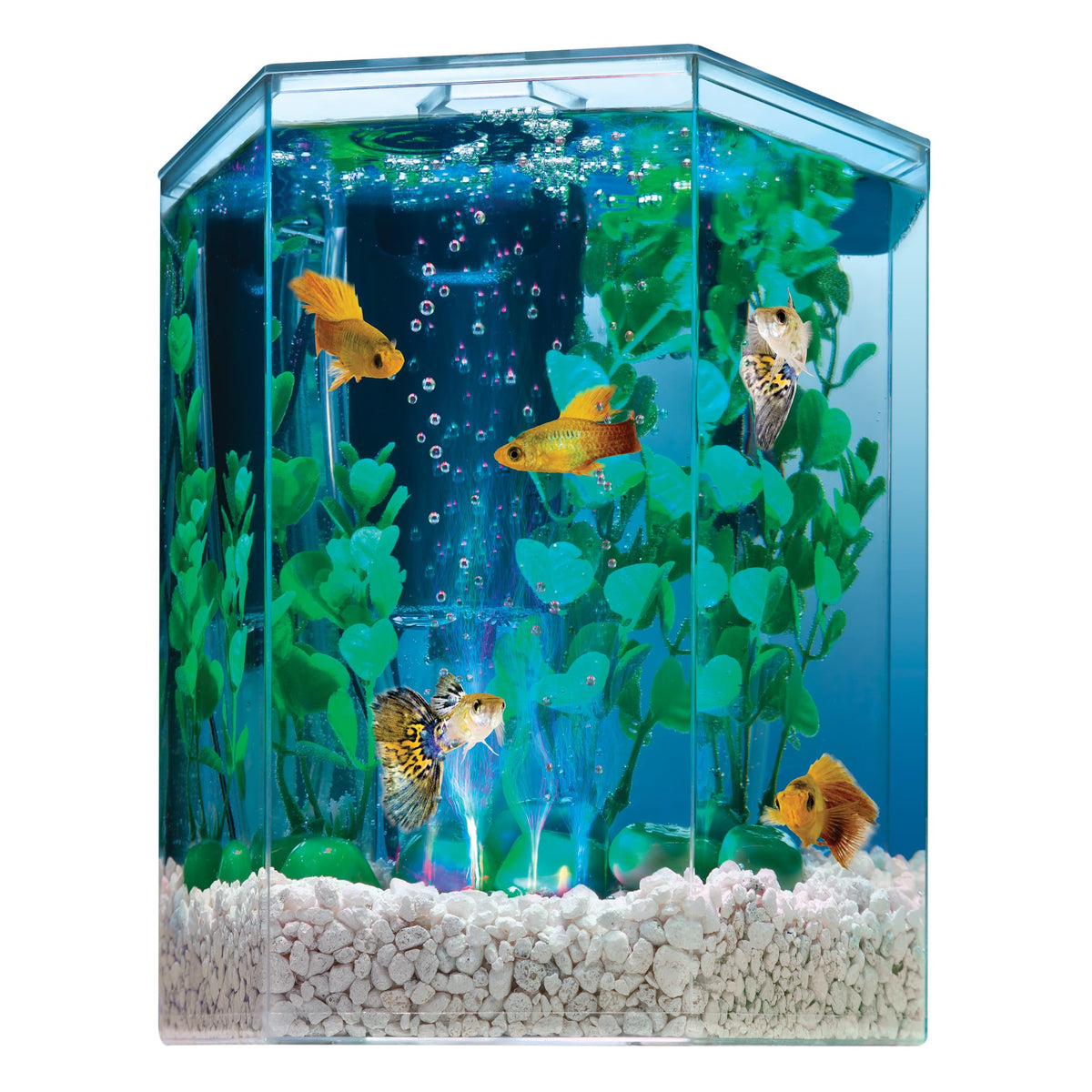 1 Gallon Small Fish Tank Kit D809